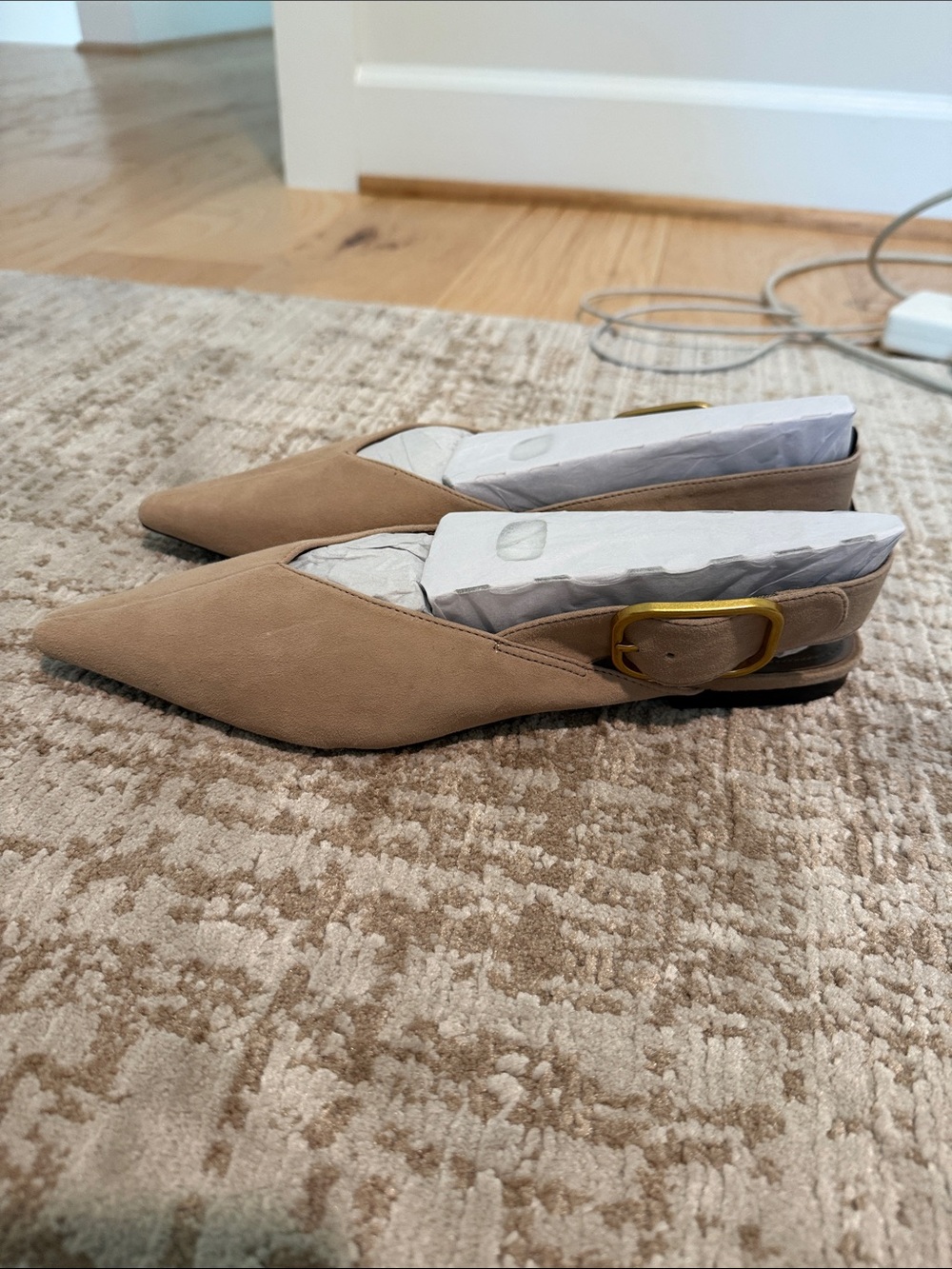 Zara Pointed Toe Slingback Flats in Taupe with Gold Buckle